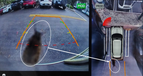 AV Perception Safety Testing 2