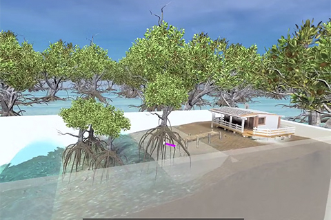 Mangrove City 