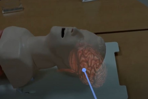 Medical Visualization 